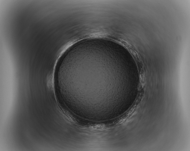 X0000116030196200911271143