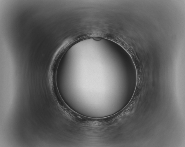 X0000116030197200911271143