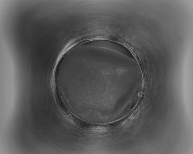 X0000116030198200911271142