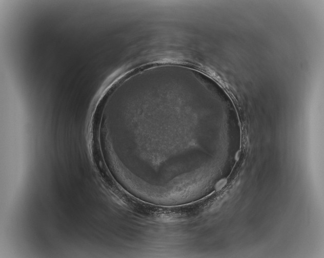 X0000116030199200911271142