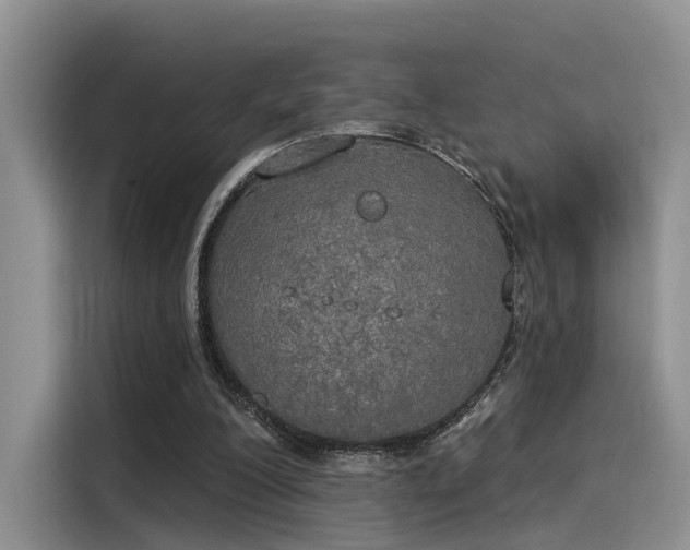 X0000116030200200911271142