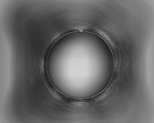 X0000116030201200911271142