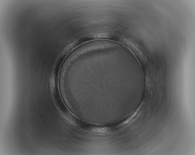 X0000116030202200911271142