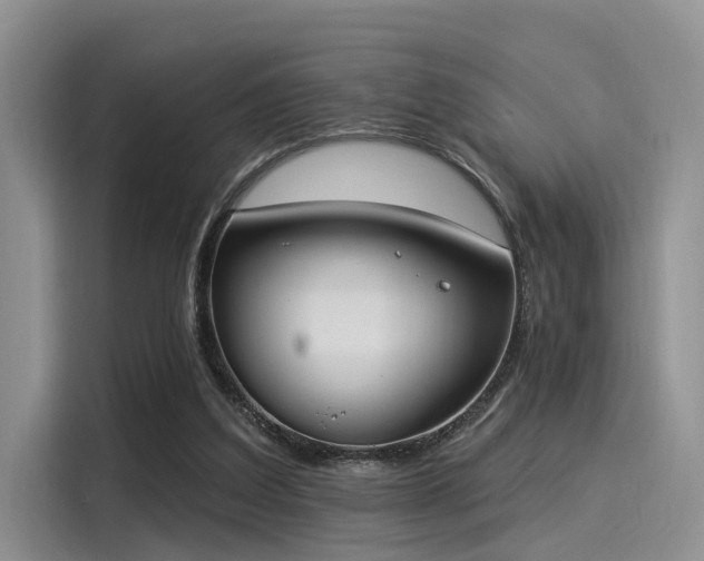 X0000116030203200911271142