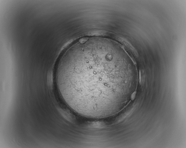 X0000116030204200911271142