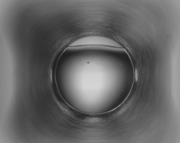 X0000116030205200911271142