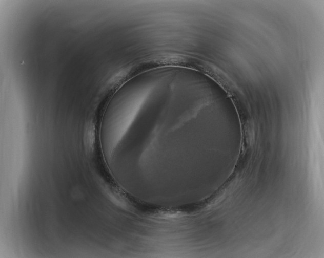 X0000116030206200911271142