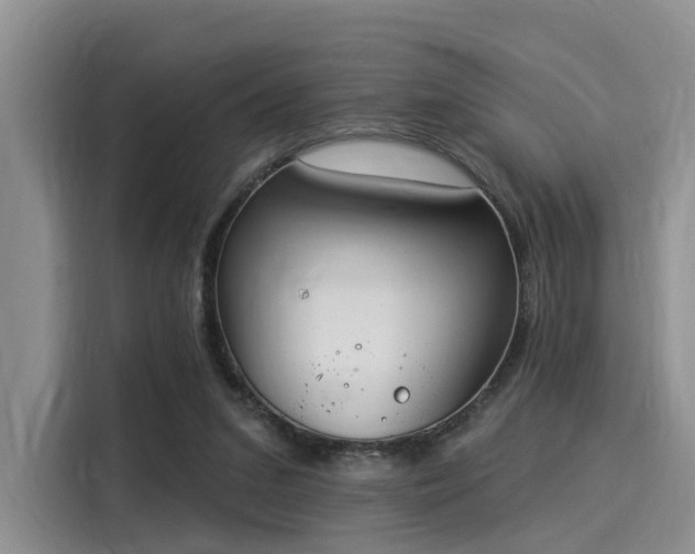 X0000116030207200911271142