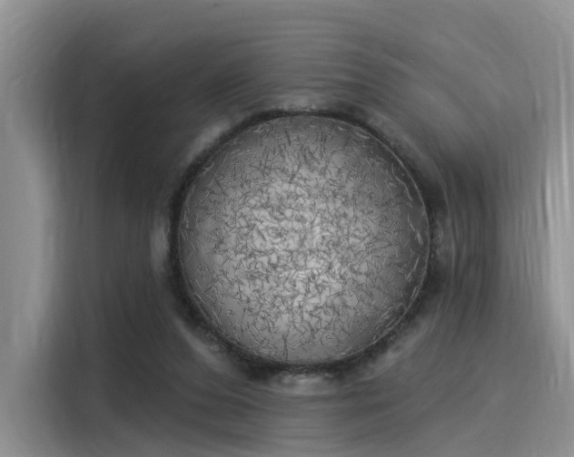 X0000116030208200911271142