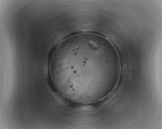 X0000116030210200911271142