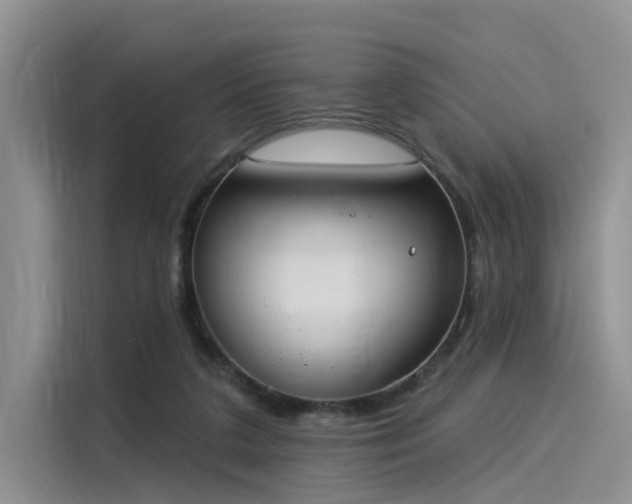 X0000116030211200911271142