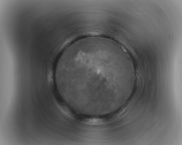 X0000116030212200911271142