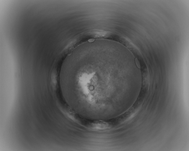 X0000116030215200911271142