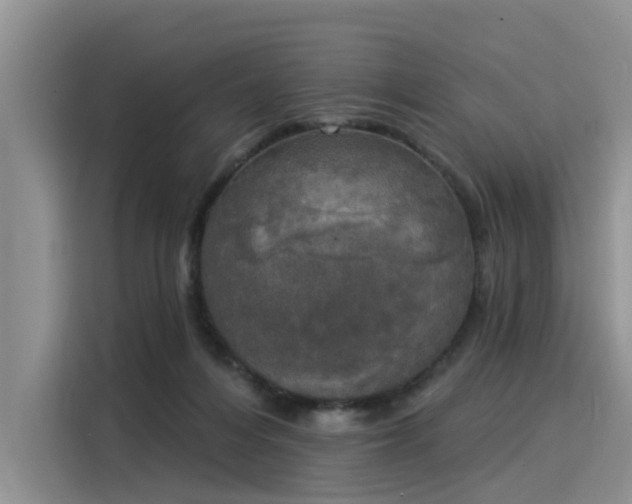 X0000116030216200911271142