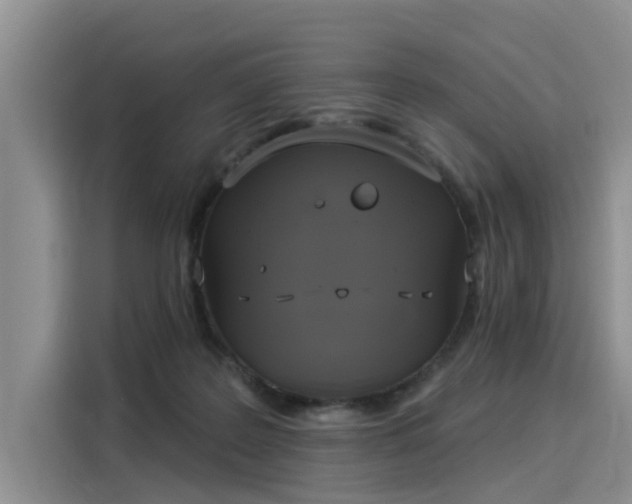 X0000116030219200911271142