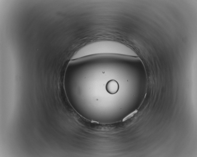 X0000116030223200911271142