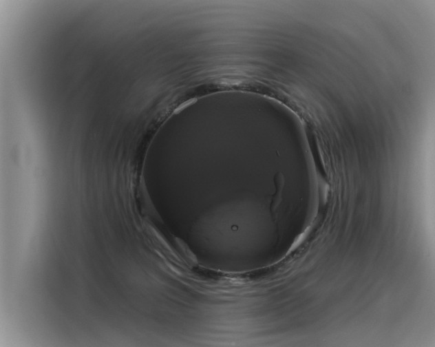 X0000116030227200911271142