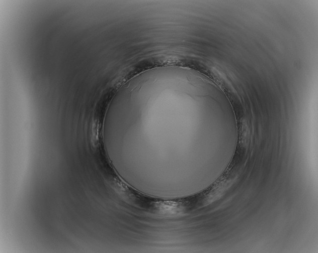 X0000116030230200911271142