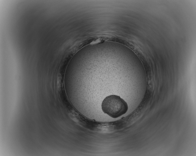 X0000116030231200911271142