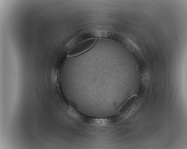 X0000116030233200911271142