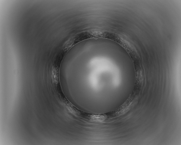 X0000116030234200911271142