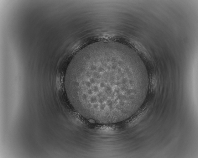 X0000116030236200911271142