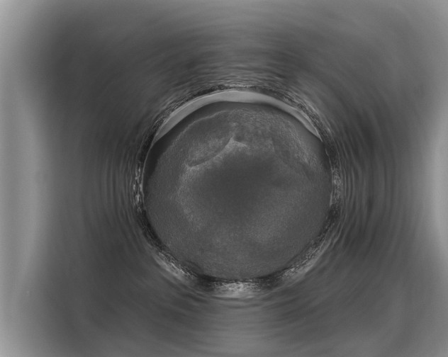 X0000116030237200911271142