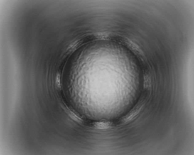 X0000116030238200911271142