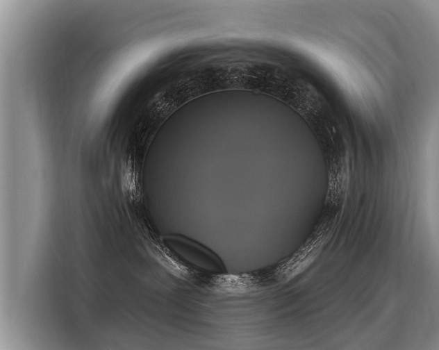 X0000116030239200911271142