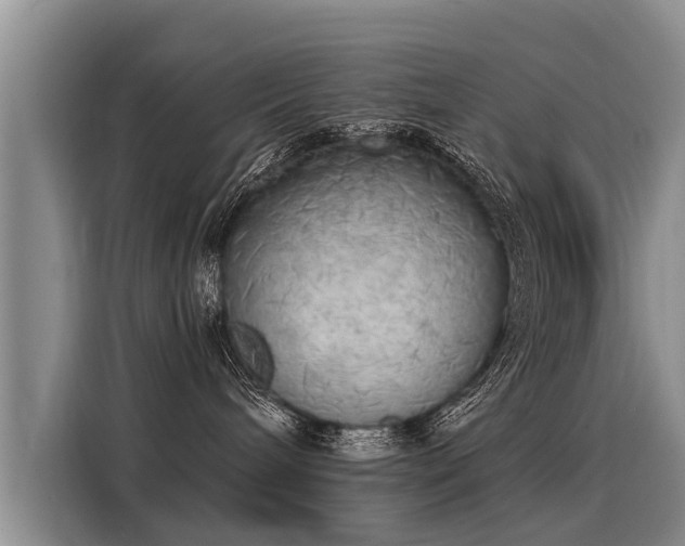 X0000116030240200911271142