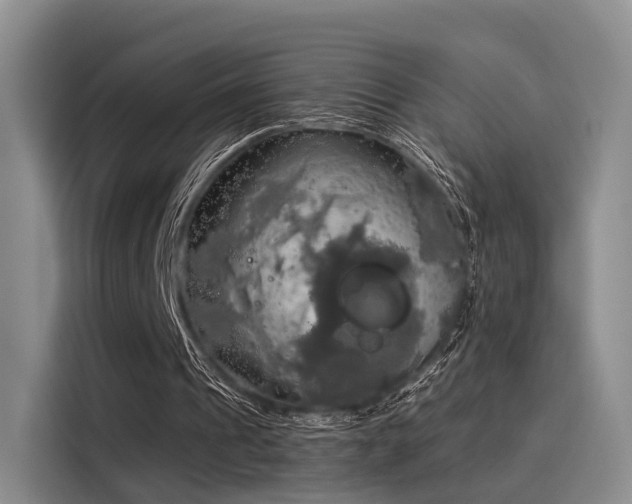 X0000116030241200911271141