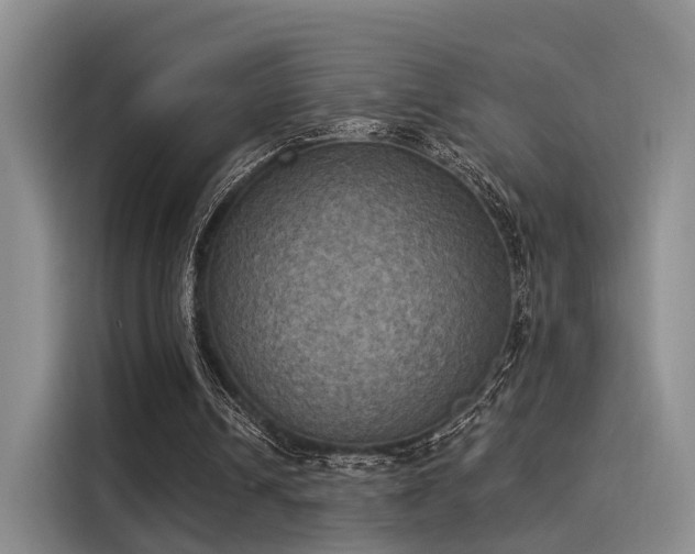 X0000116030242200911271141