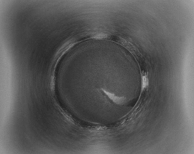 X0000116030243200911271141