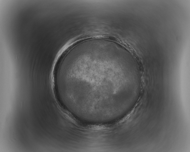 X0000116030246200911271141