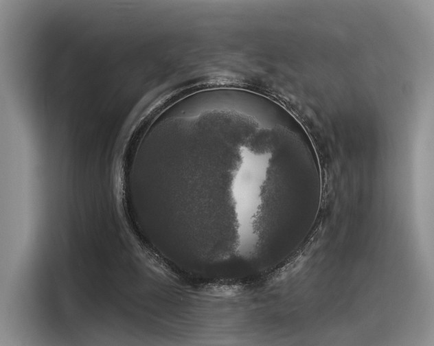 X0000116030247200911271141