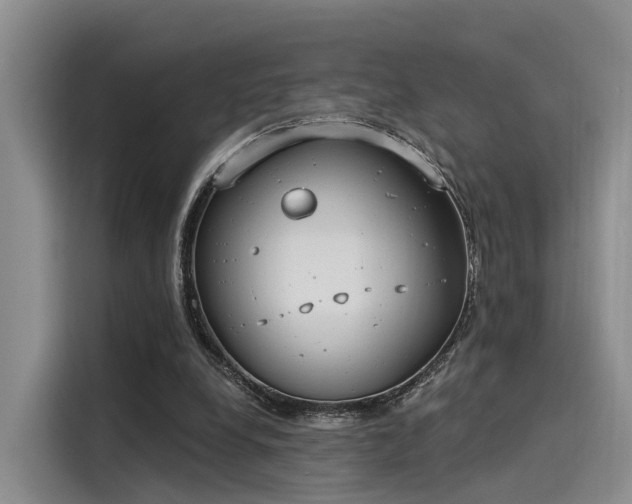 X0000116030248200911271141