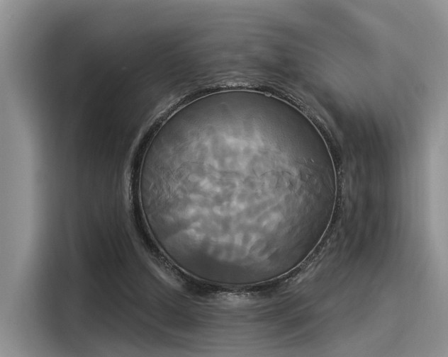 X0000116030250200911271141