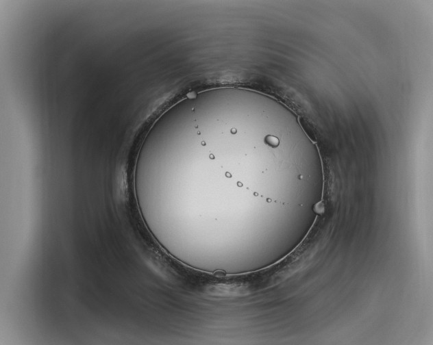 X0000116030251200911271141