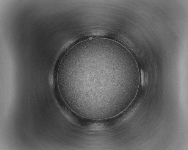 X0000116030252200911271141