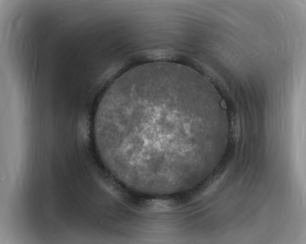 X0000116030255200911271142