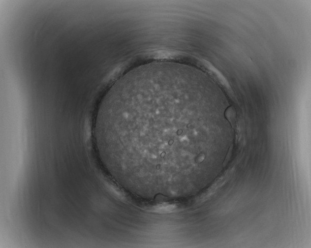 X0000116030257200911271142