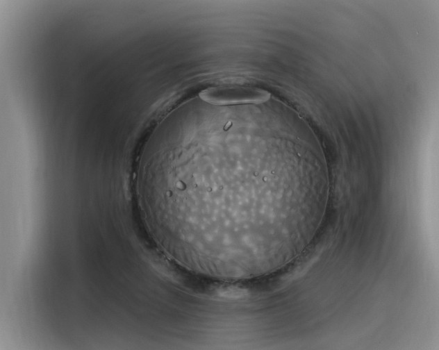 X0000116030258200911271142