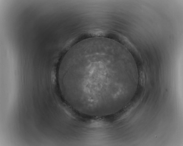 X0000116030259200911271142