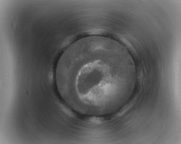 X0000116030261200911271142