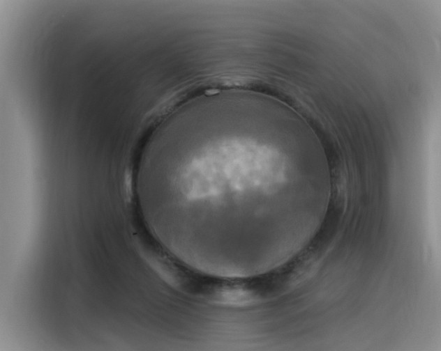 X0000116030262200911271142