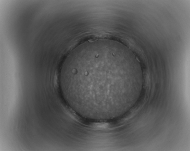 X0000116030266200911271142