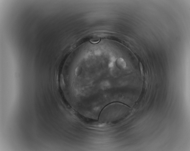 X0000116030267200911271142