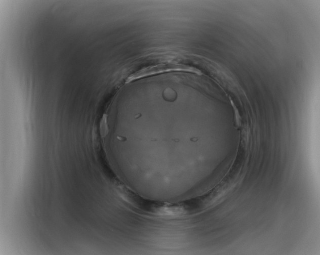 X0000116030270200911271142