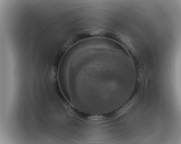 X0000116030273200911271142