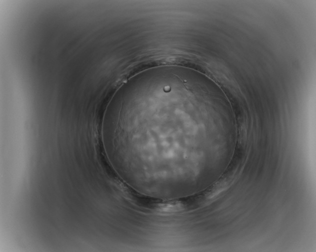 X0000116030274200911271142